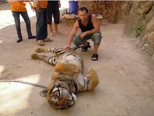 THAILANDE LE TEMPLE DES TIGRES (6)
